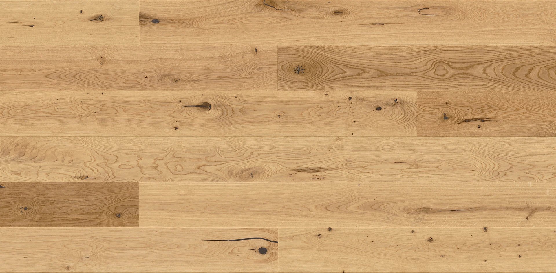 Stejar Grand Canyon Grande