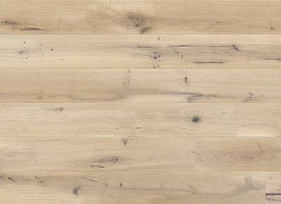 Stejar Ivory Grande