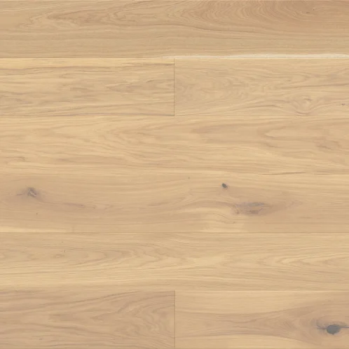 Stejar Mont Blanc Grande