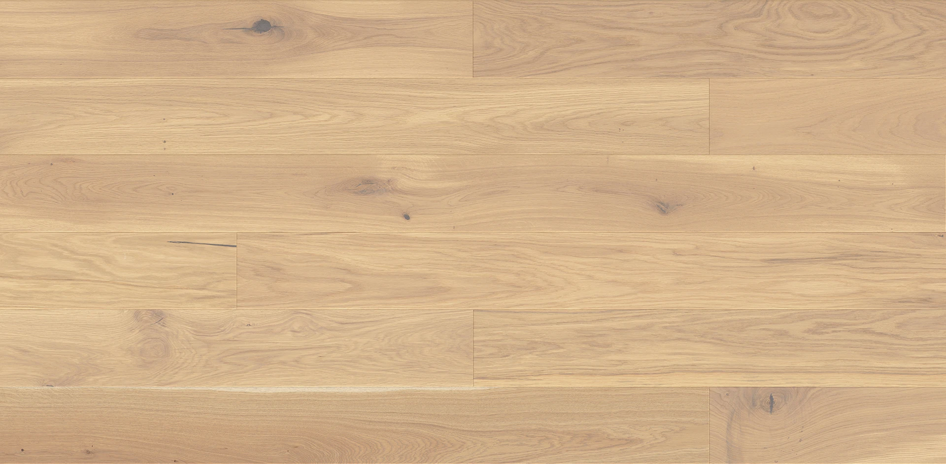 Stejar Mont Blanc Medio