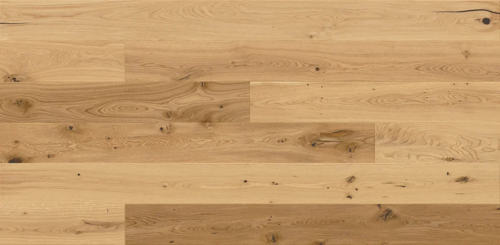 Stejar Raisins Medio