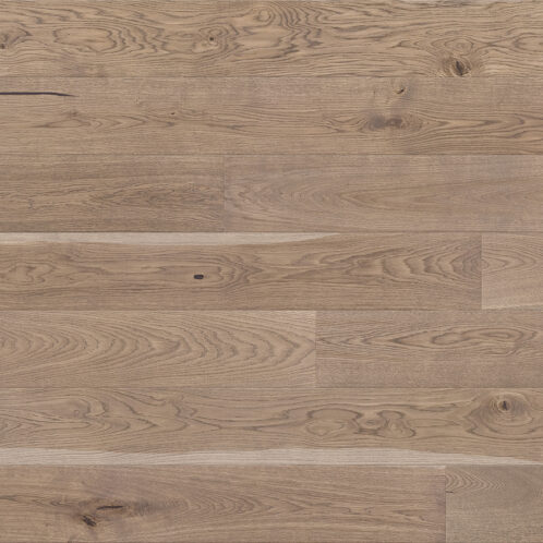 Stejar Bowfell Medio