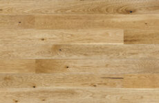 Stejar Bright Piccolo