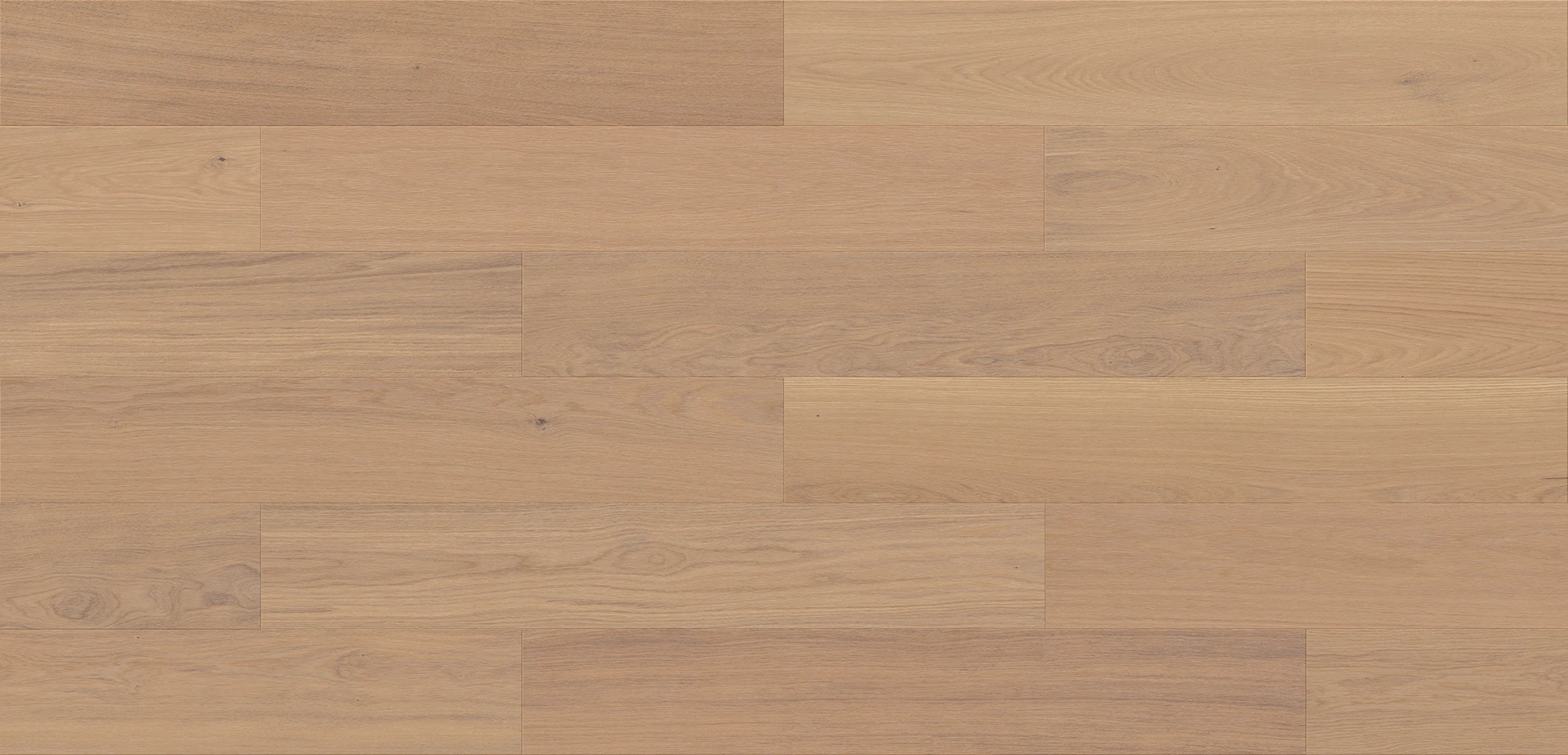 Stejar Evana Esthetic