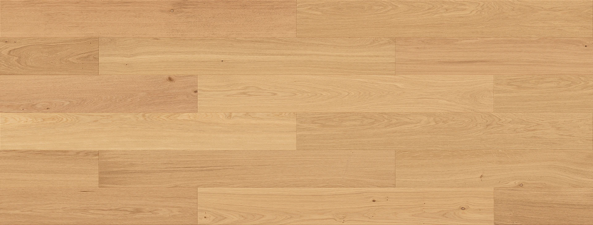 Stejar Futuris Esthetic