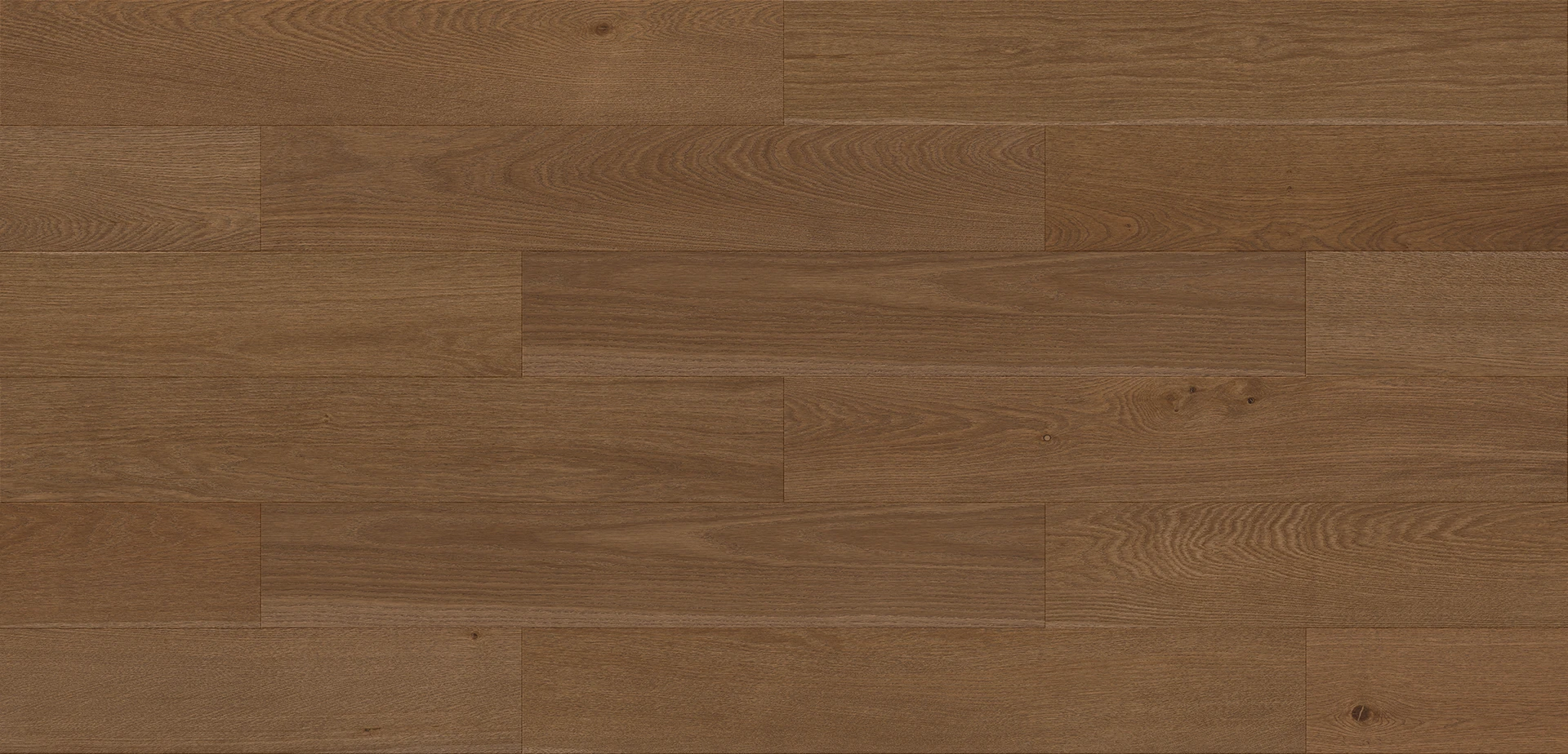 Stejar Revona Origin