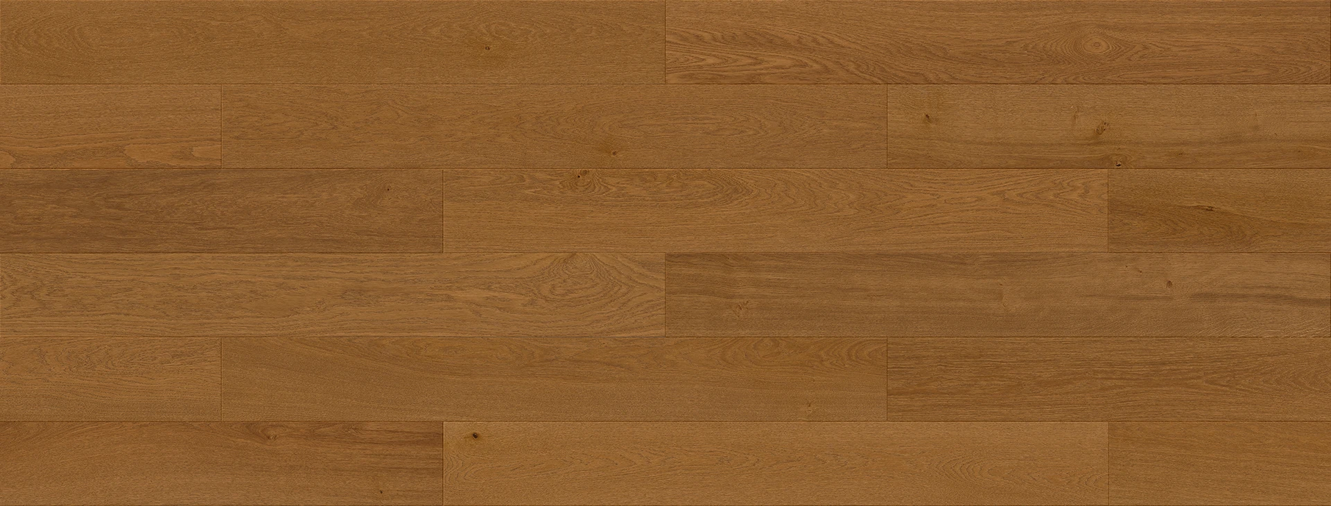 Stejar Vitaria Origin